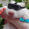EnJoyTheVR's profile picture