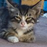 yenilmez.eth profil fotoğrafı