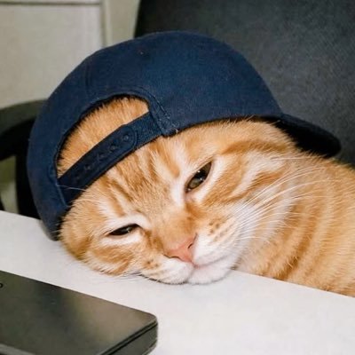 강여름🍦's profile picture