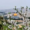 حسن صقر profil fotoğrafı