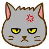 Фото профиля からしめんたい
