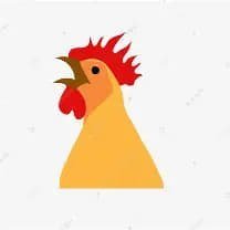 RoosterClub_'s profile picture
