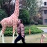 阿昕的狗 的头像