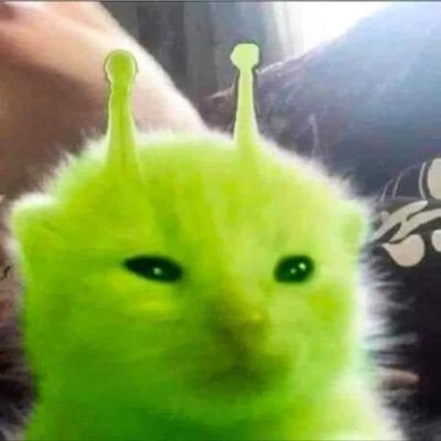 fluoxetan's profile picture