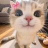 Profilbild von miu🐱