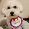 なななぁなななぁなな's profile picture
