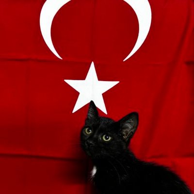 garibansipsi's profile picture
