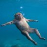 Фото профиля Nico Fernández