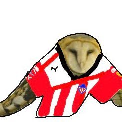 BÚHO's profile picture