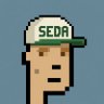 Domi | SEDA's profile picture