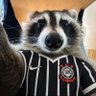 Profilbild von Guaxinim Corinthiano ⚫️⚪️ 🦝