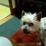 Profilbild von そうり