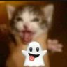 Porra Nenhuma profil fotoğrafı