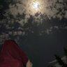 جود الرشيدي 的头像