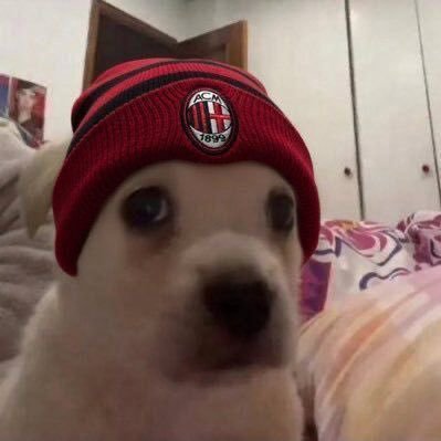 downiEL's profile picture