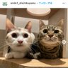 Profilbild von ガルバ