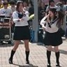 ʚ秋葉原通信ɞ 的头像
