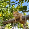 Don profil fotoğrafı