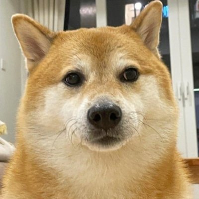 Moon's profile picture
