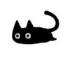 spcll (ง︡'-'︠)ง's profile picture