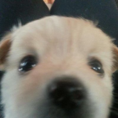 milk_0499's profile picture