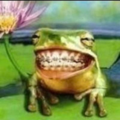 🇧🇷 BOB꩜ 土 QSMP2 .ᐟ's profile picture