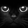sl3nder888's profile picture