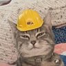 Profilbild von RY