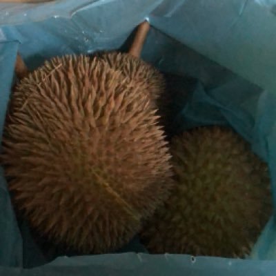 faridddkaa's profile picture