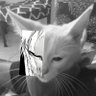 FaJinLei ( Tekken is dead) profil fotoğrafı