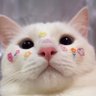 🙊Nour 🫧 profil fotoğrafı
