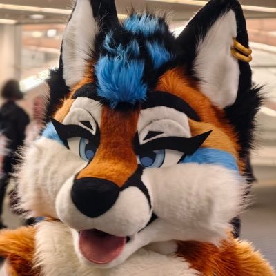 Ari 🦊's profile picture