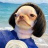 𓍢 🐋 ปออู (게) profil fotoğrafı