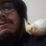 Roan's profile picture