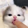 ME KON? profil fotoğrafı