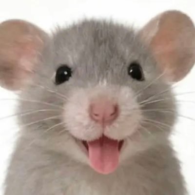 소희주's profile picture