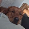 CanadianDad's profile picture