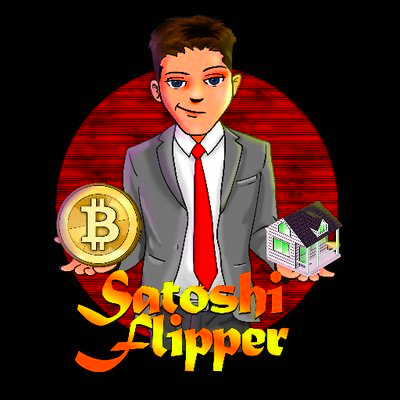 Satoshi Flipper's profile picture