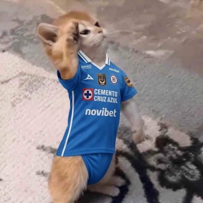 Mauvita Azul🇨🇴's profile picture