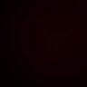 bat's profile picture