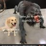 Gabriel Reis's profile picture