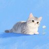 💙จะไปอวกาศ💙's profile picture