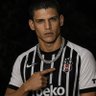 organizma's profile picture