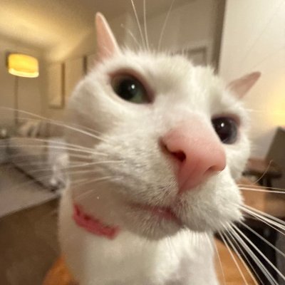 Bahrupiya_Billu's profile picture