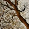 (((psychrat))) profil fotoğrafı
