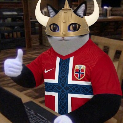 🇳🇴⚽ NORUEGA CAMPEÓN DEL MUNDO ⚽🇳🇴's profile picture
