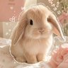 Фото профиля ardra
