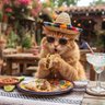 catslovetacos profil fotoğrafı