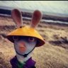 Profilbild von Japap