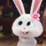 ruchi's profile picture